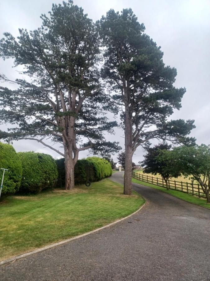 Loughview Retreat In The Mournes Apartamento Newcastle  Exterior foto